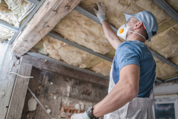 Best Spray Foam Insulation in Orida City, FL