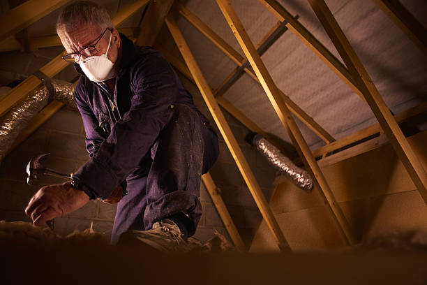 Types of Insulation We Offer in Florida City, FL
